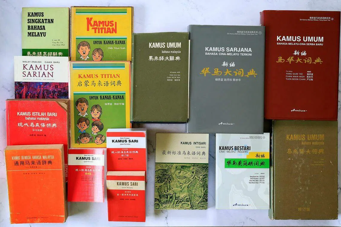本地翻译家杨贵谊编纂的部分马来文词典。（档案照片）