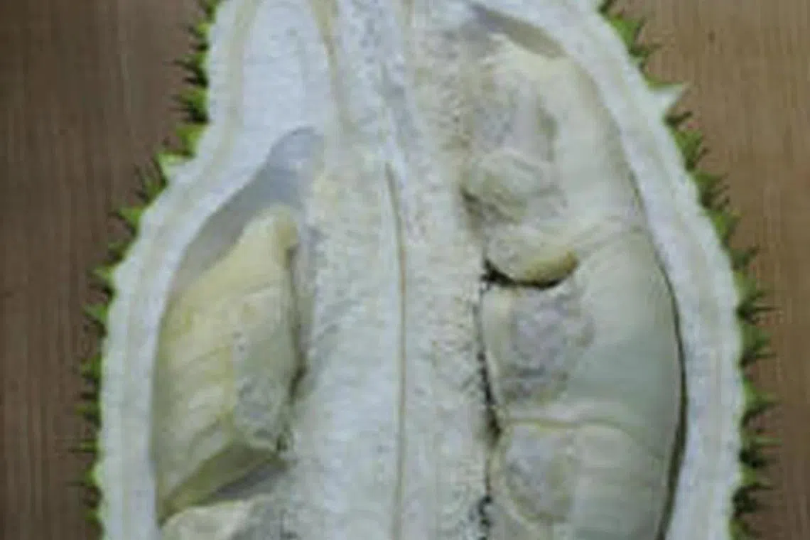 这款原产自柔佛州的榴梿因为每一个包果肉都小小的并且带有些许灰色，犹如珍珠般，因此得名黑珍珠。（海峡时报）