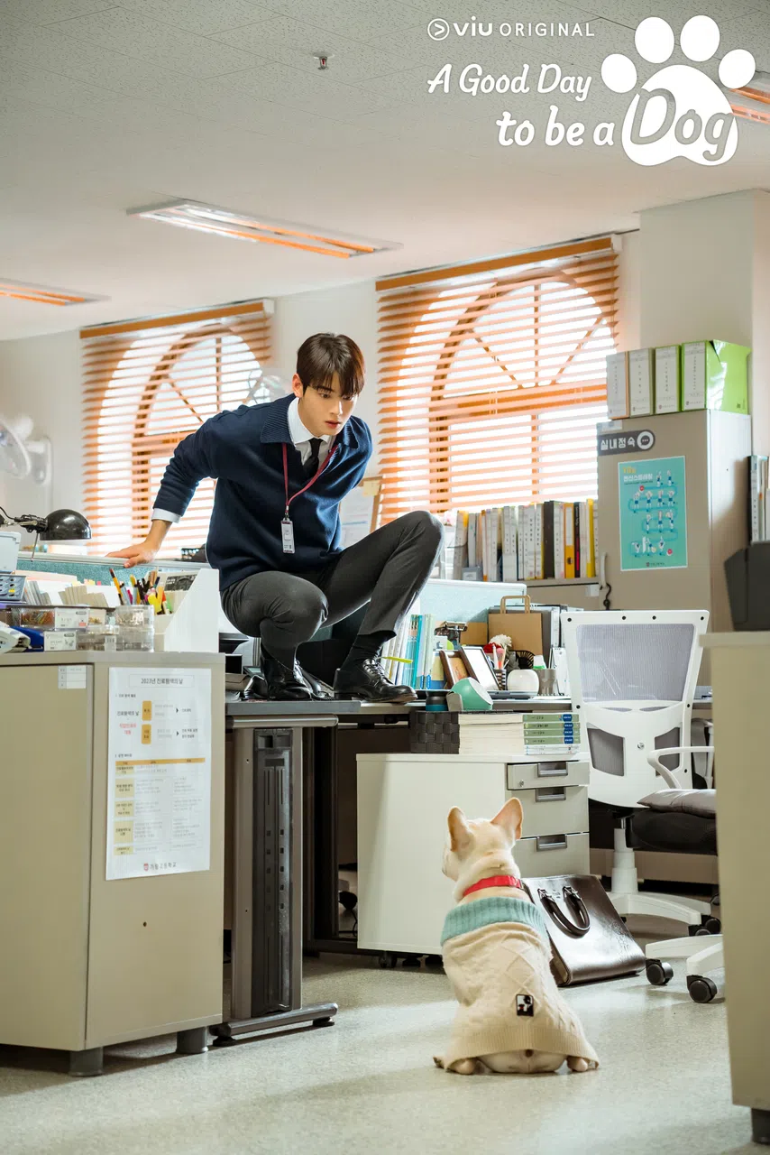 爱狗的车银优，剧中要表现出非常怕狗的模样。（Viu提供）