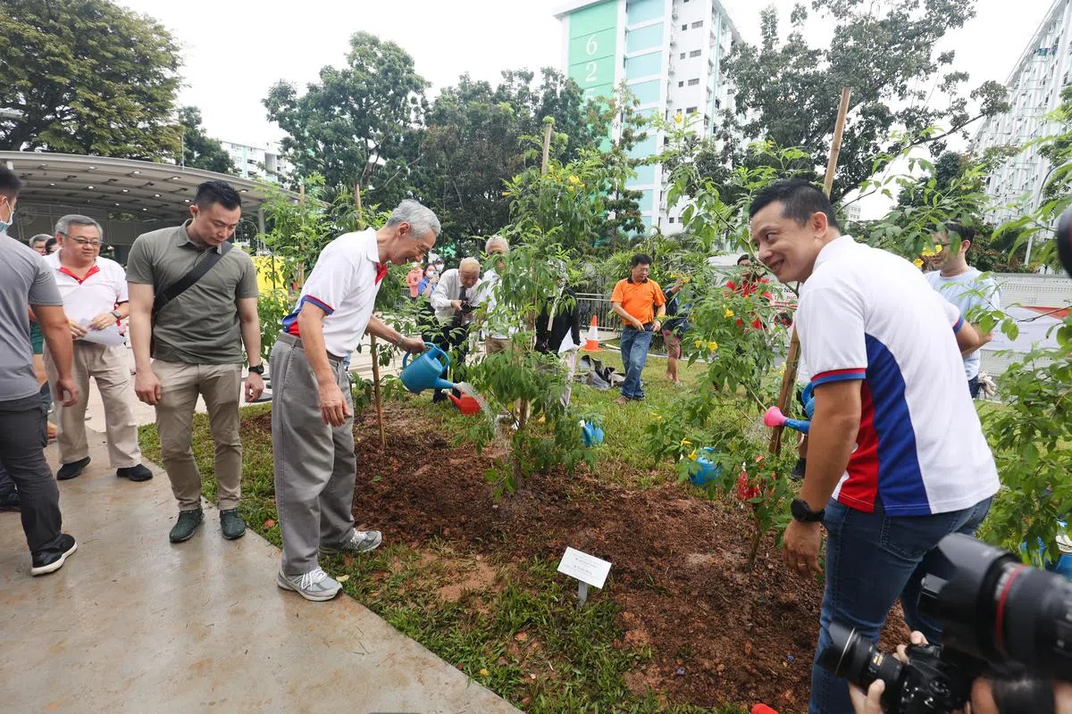 李总理（左三）也了解了区内其他环保计划，如杨厝港认养树木（Adopt-A-Tree）计划。认养树木计划则旨在动员杨厝港社区，在2025年前在区内栽种1000棵树。（蔡家增摄）
