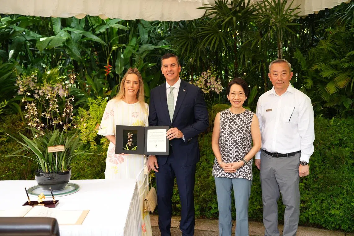 巴拉圭总统佩纳（左二）和夫人奥坎波斯（左一）星期五早上到国家胡姬园出席胡姬花命名仪式。这株以佩纳伉俪命名的配种胡姬花“圣地亚哥佩纳莱蒂西亚奥坎波斯围柱兰”（Encyclia Santiago Peña Leticia Ocampos），花香浓郁，花开繁盛。花序高45至60厘米，直立挺拔，每串可绽放10至15朵、花径约六厘米的花朵。细长的花瓣和萼片呈青柠绿色，带有浓郁红褐色调与鲜明花边，与乳白色、洋红条纹点缀的波浪形唇瓣相互映衬，层次分明，色彩夺目。主管贸易关系的永续发展与环境部长傅海燕（右二）和新加坡植物园高级署长陈培育教授（右一）也出席命名仪式。（国家公园局提供）