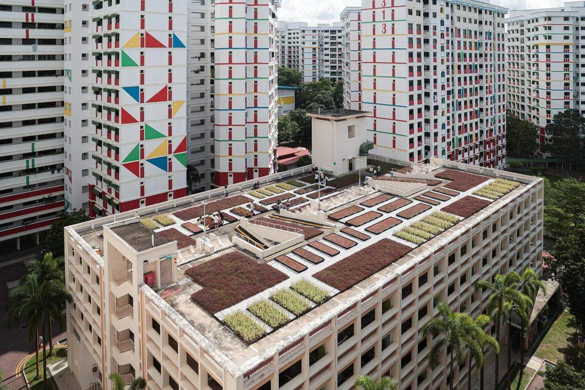 三巴旺通道第313A座多层停车场顶楼的使用率非常低，因此被改造成社区花园。（李冠卫摄）
