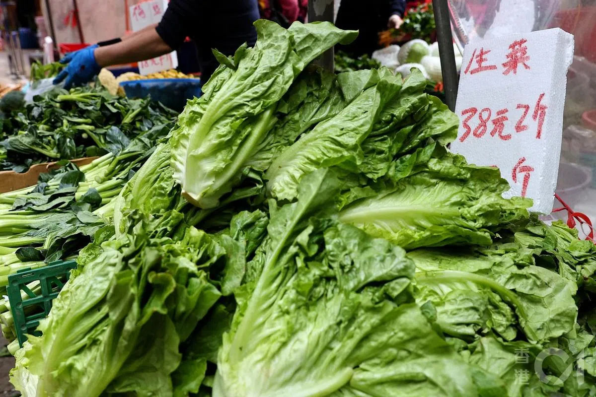 多款蔬菜平均批发价8日攀升至高位，图为飙涨的生菜价格。（香港01）
