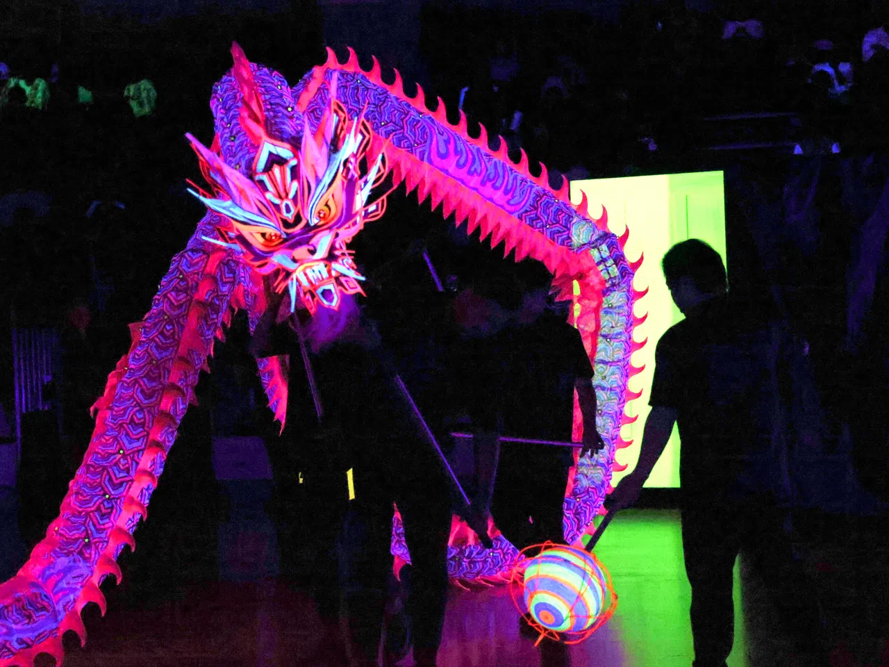 通过紫外光反射不同色彩的腾龙跃起，绚丽多彩。新马夜光龙锦标赛由新加坡腾义体育会摘冠。（郑一鸣摄）