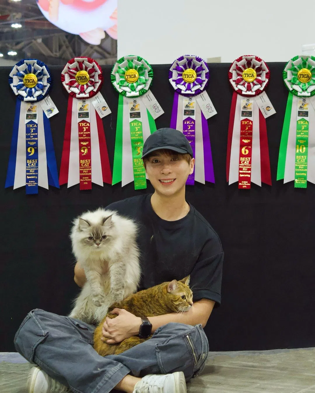 丘俊鑫带领猫咪婆婆Money（右）和媳妇Luna（左）参加比赛，首次出赛就抱回奖项。（取自丘俊鑫IG）