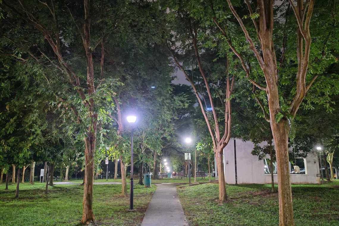 夜景模式下，画面虽有些噪点和朦胧，但整体显得很明亮。（黄少伟摄）