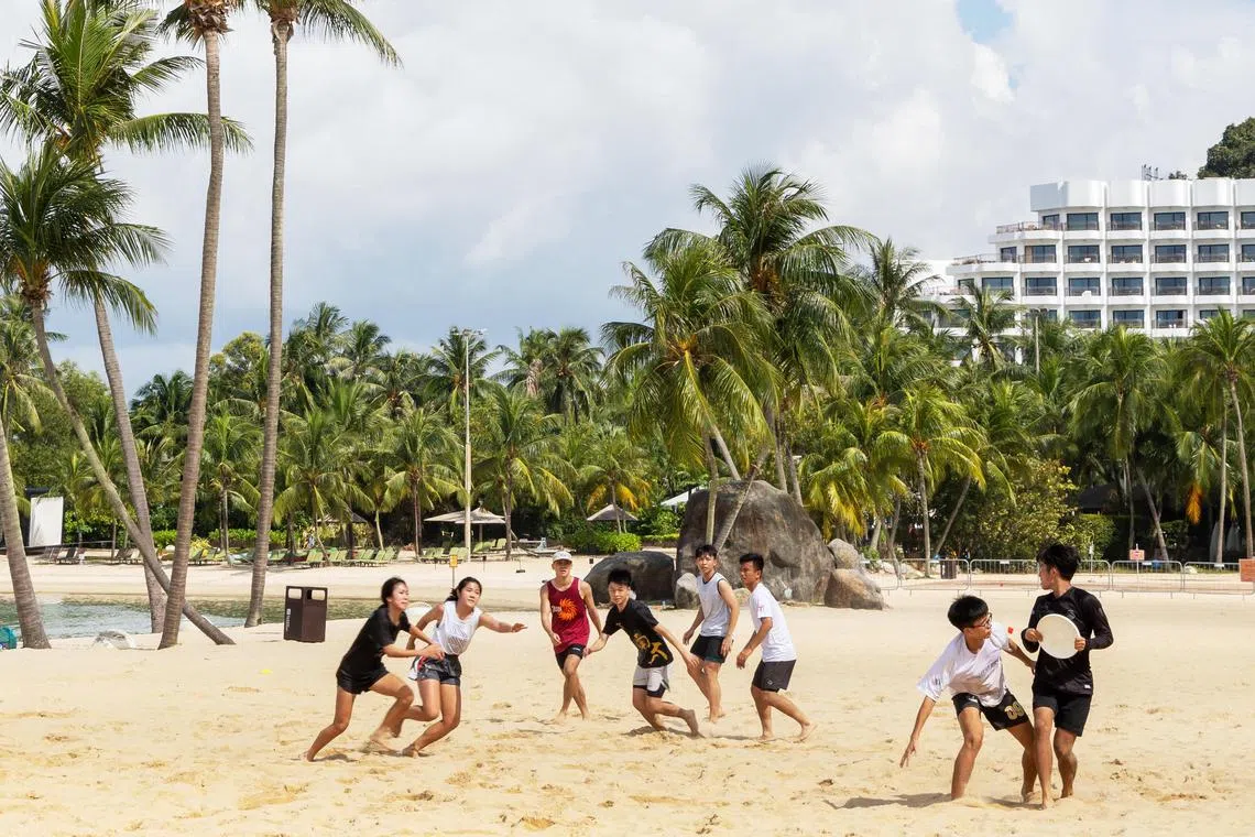 西乐索海滩星期六重开，马上迎来游人。一群年轻人在洁净的沙滩上玩飞盘，欢声笑语在空中回荡。（吴先邦摄）
