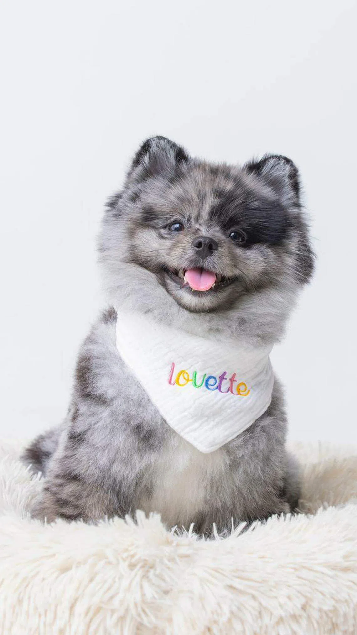  Lovette（受访者提供）