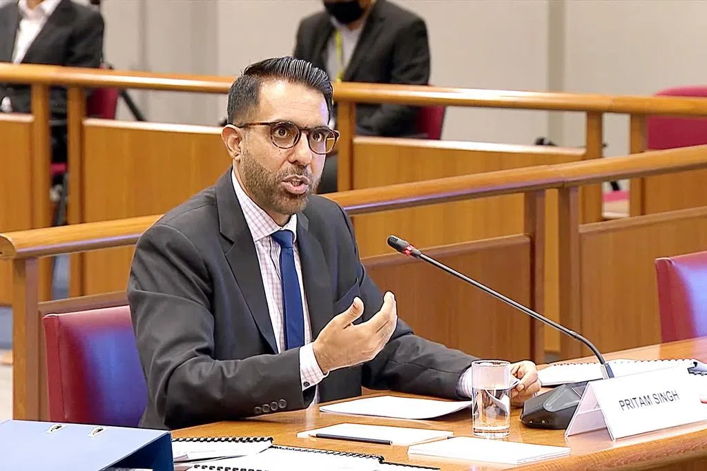 毕丹星：“由你决定”是指辣玉莎应为在国会的发言负责