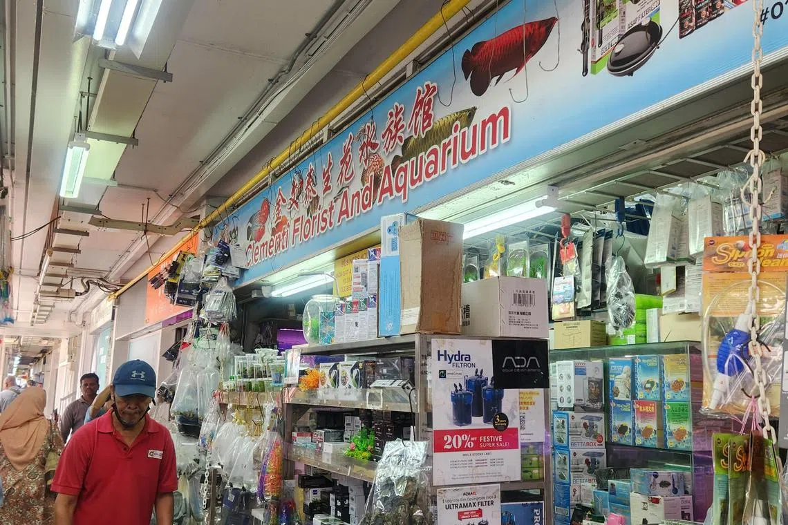 金文泰生花水族馆是金文泰大牌328第一家水族馆，后来吸引许多同行在同座组屋开业。（陈爱薇摄）