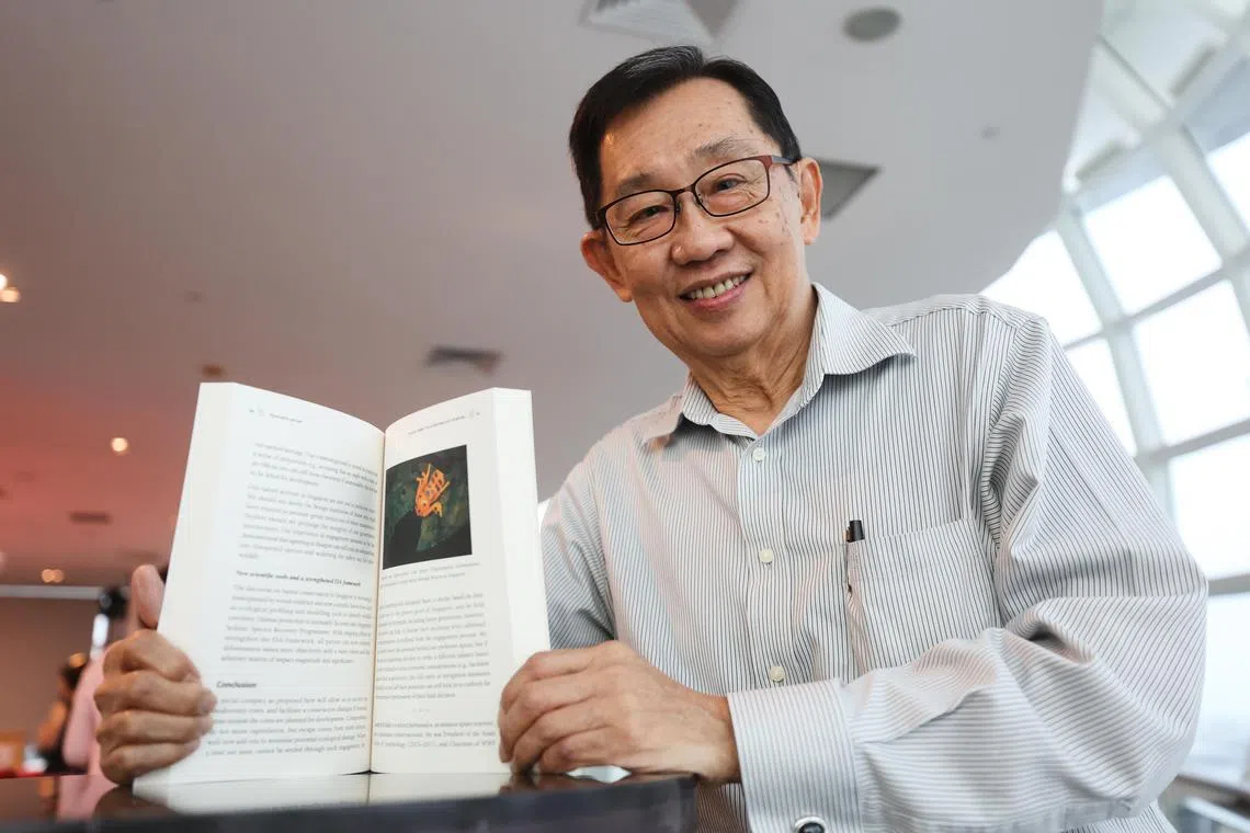 新加坡前大使许国丰，专研东南亚，尤其是新加坡和文莱的蜘蛛。他早前为书籍“Peace with Nature”（意指与大自然和平共存）撰写文章，整理了他多年积累的保育经验。也许和早年的外交经历有关，许国丰笔下的文字，正如他应对采访问题一样，遣词用字谨慎，展现出如何以理性推进建设性对话。（档案照片）