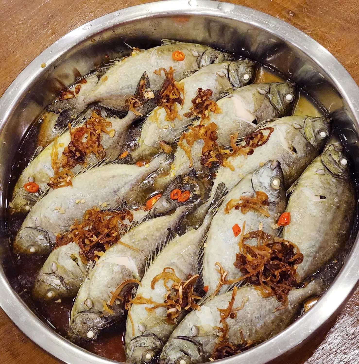 白肚鱼俗称“发财鱼”，交配季节一般在农历新年前后，这个时间的白肚鱼味道鲜美，鱼白和鱼卵饱满，因此也得名“拜年鱼”。（档案照）