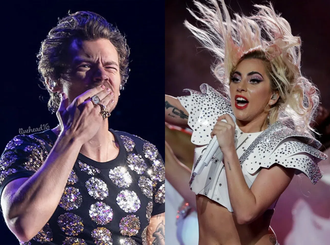 Harry Styles（左）眯起被糖果击中的左眼向观众送飞吻；Lady Gaga也曾在演唱会被粉丝抛出的玩偶击中。（互联网）