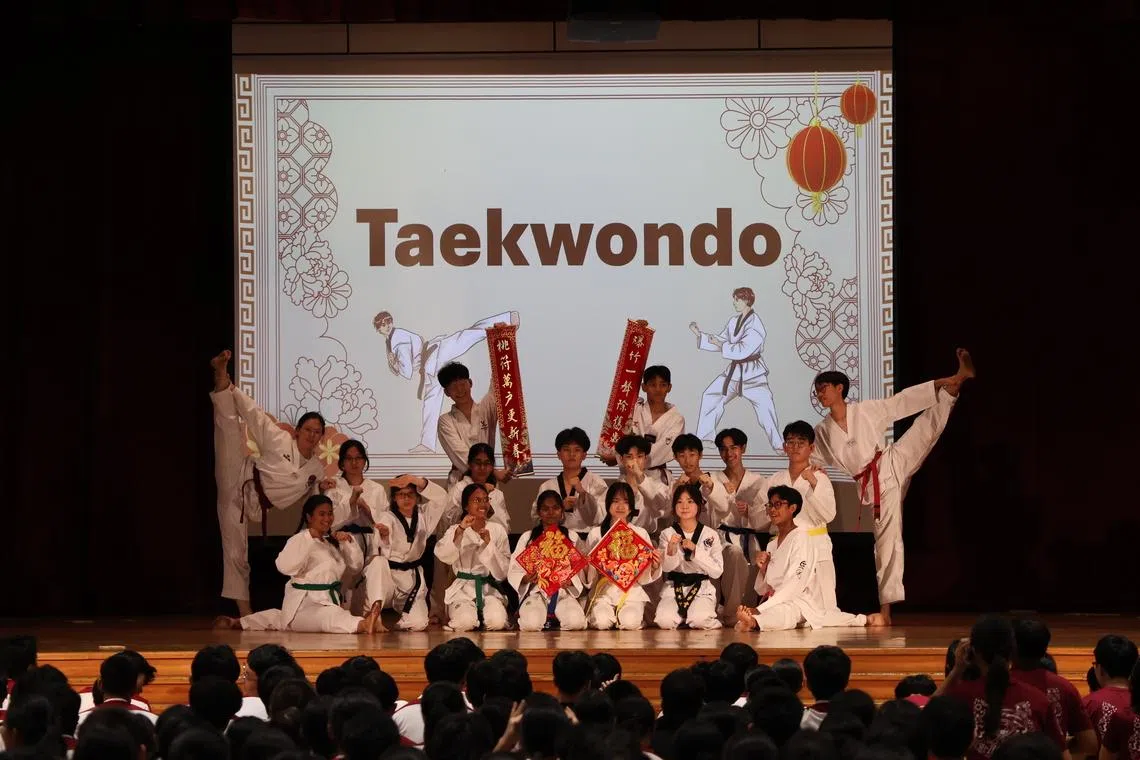 跆拳道活力四射，齐来贺岁。（淡美初院摄影俱乐部提供）
