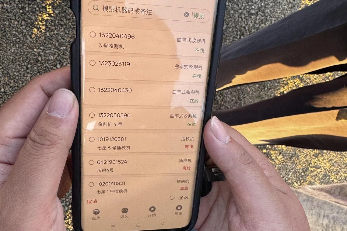 工作人员手机一按，五台无人驾驶水稻收割机同时启动，在中国黑龙江北大荒七星农场的稻田上演示收割。图摄于9月29日。（沈泽玮摄）
