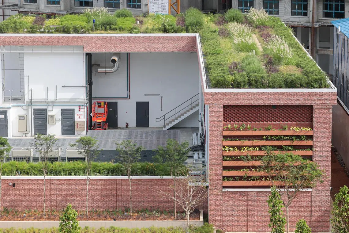 为确保赛阿威水泵站融入社区，公用局在水泵站的屋顶和墙上种植绿意。（李冠卫摄）