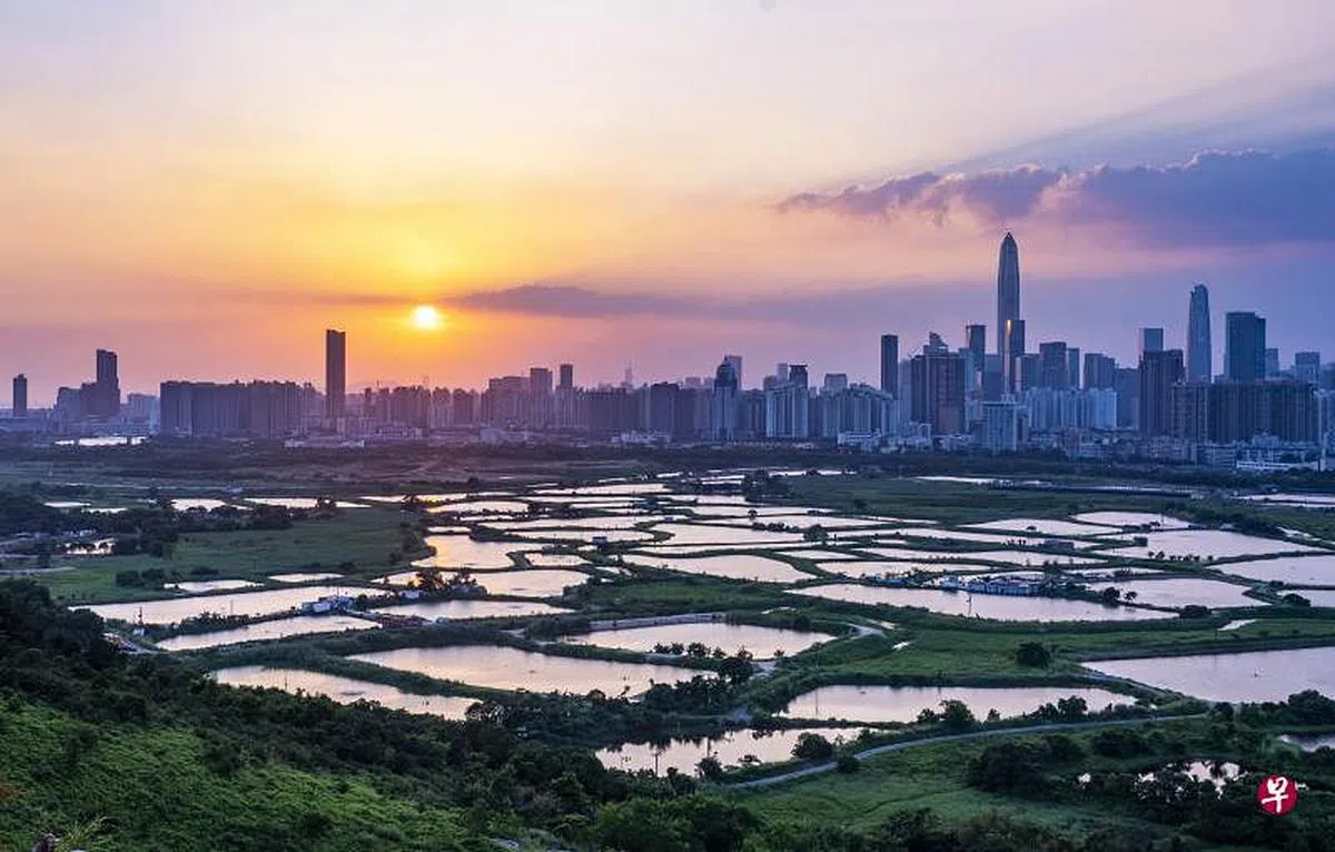 与深圳高楼大厦形成鲜明对比的香港新界北。（中新社） 