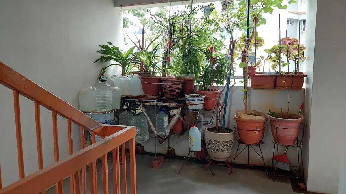 居民把部分盆栽放在楼梯口。（余忠达摄）