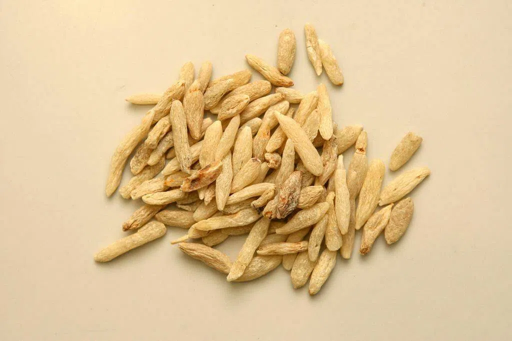 常口渴？泡上一杯麦冬茶