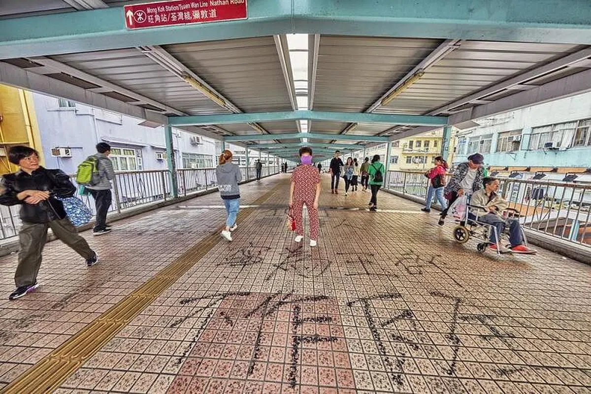 汪春龙拍下80岁妇女在香港旺角站示威现场的摆款。(图片由画廊提供)