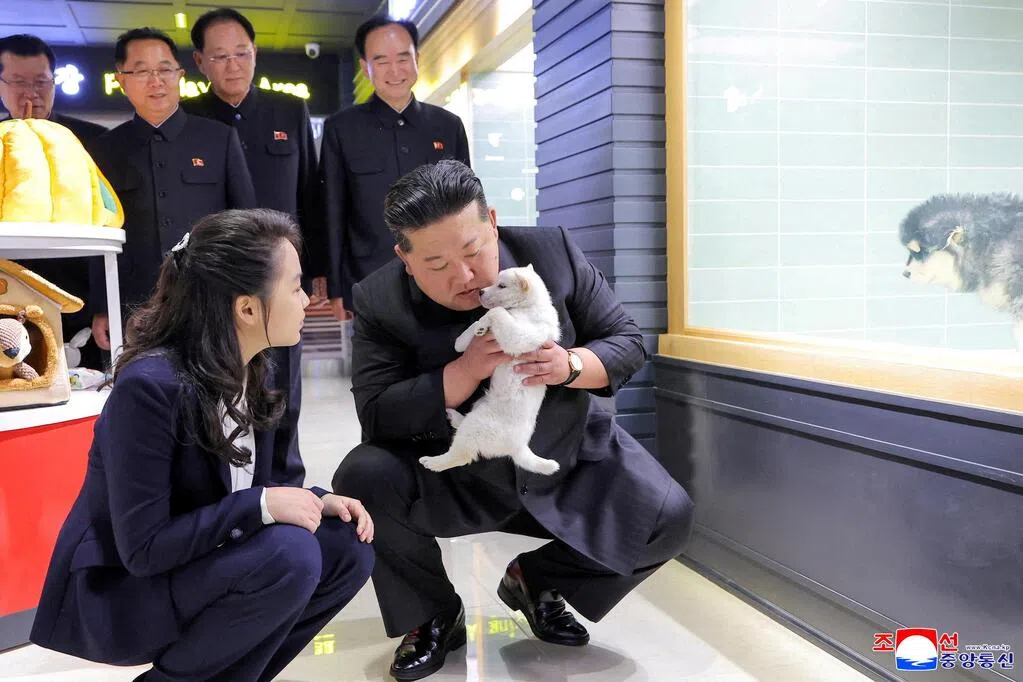 沈泽玮：金正恩屡“被传死”与两座新桥