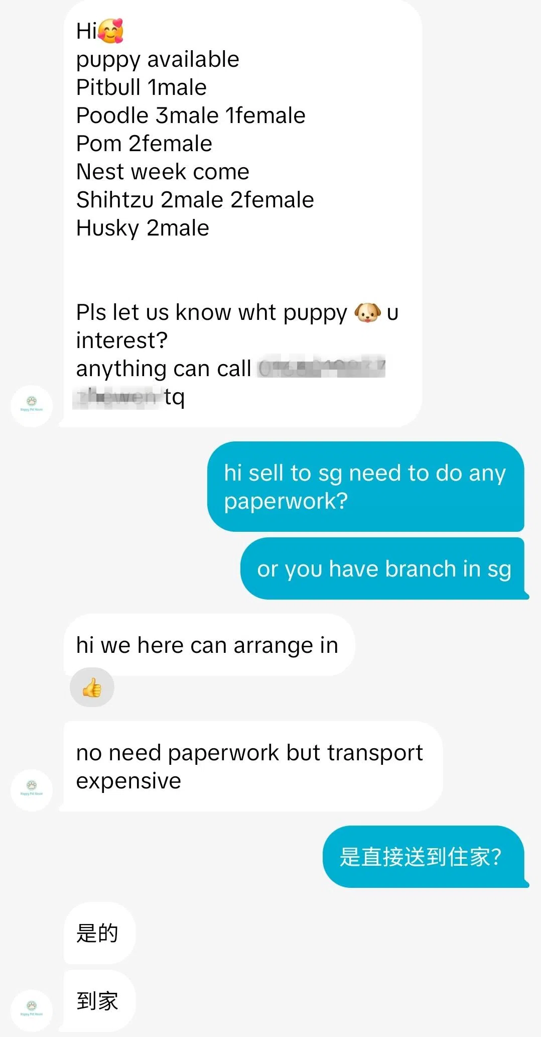 记者假扮有兴趣的买家，通过私讯向马来西亚的宠物卖家了解交易细节。（TikTok截图）