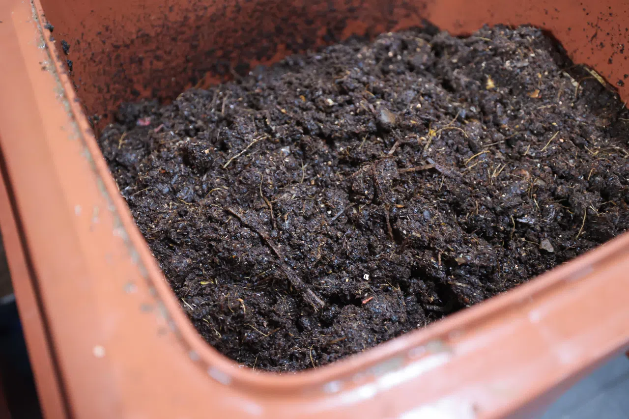 食物垃圾经过厨余处理系统WasteMaster后，可转变成为富有营养价值的昆虫与宠物饲料。（李冠卫摄）