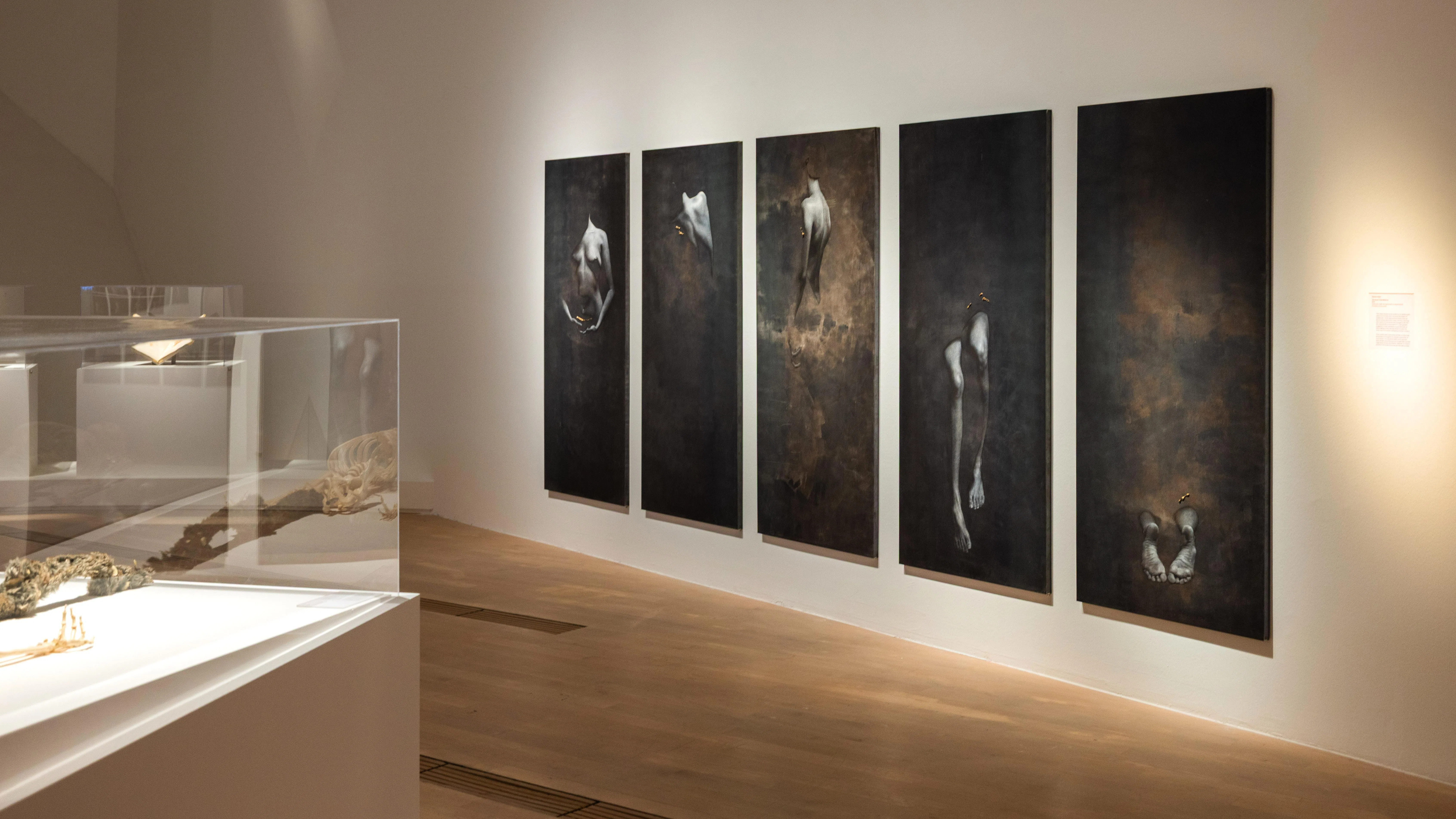 新加坡艺术家陈彦云的炭笔系列《书写我们的伤疤》，凝视家族遗传的瘢痕疙瘩。（艺术科学博物馆提供）