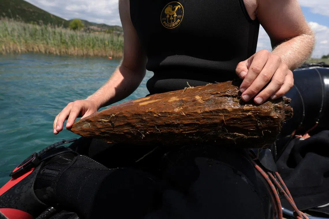 考古队员发现的这块木块相信是一块长方形板的一部分，曾用来支撑房屋。（路透社）