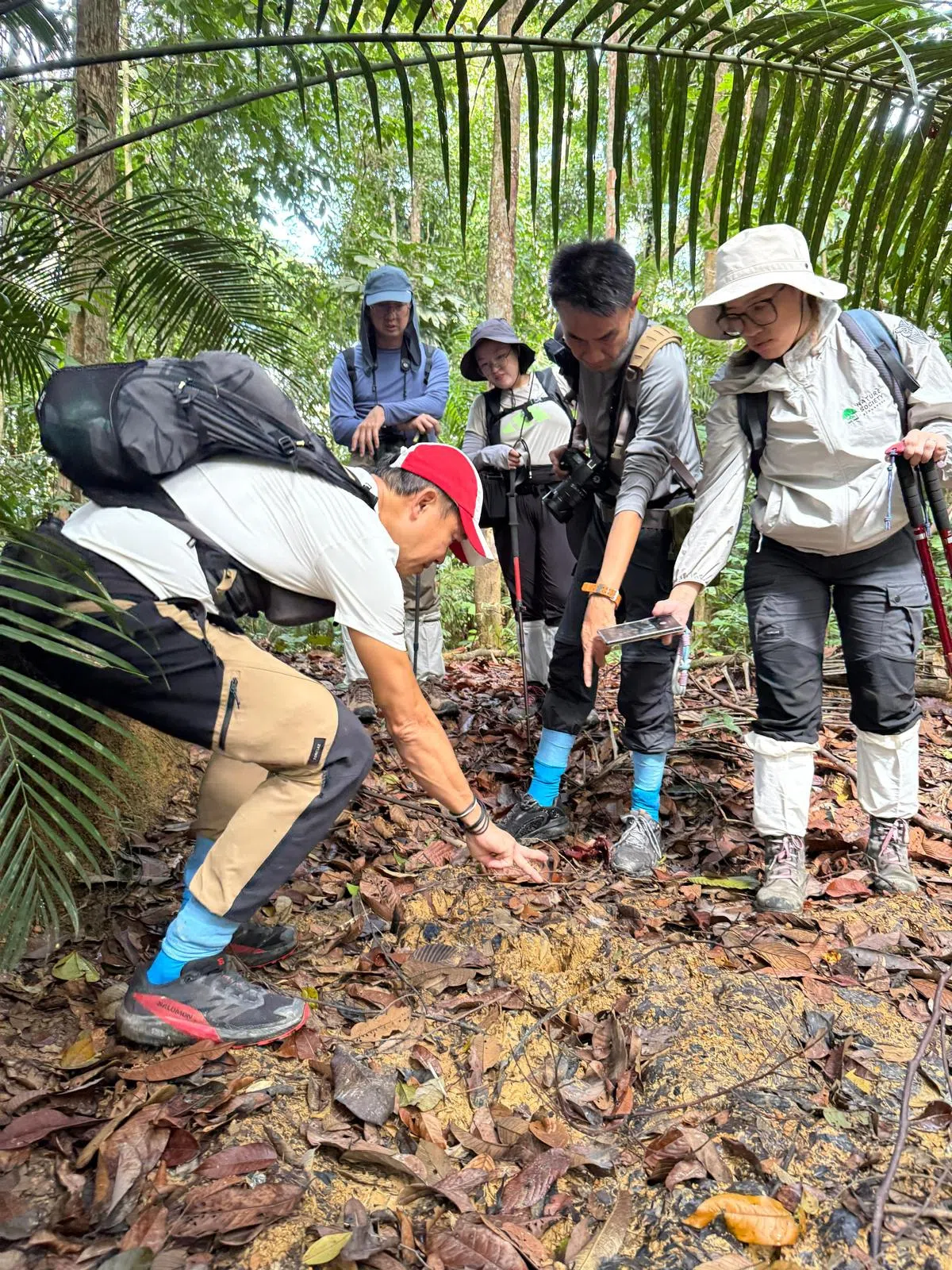 杰克说，“为虎而行”不仅是保护生态的行动，也是城市居民贴近自然的宝贵契机。（受访者提供）