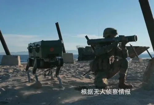 机器狼不仅能背着火箭筒、弹药箱跟随步兵前进，还能驮运急救包与通信设备。每只最大载重达20公斤，相当于一名士兵的半副装备。（央视军事视频截图）
