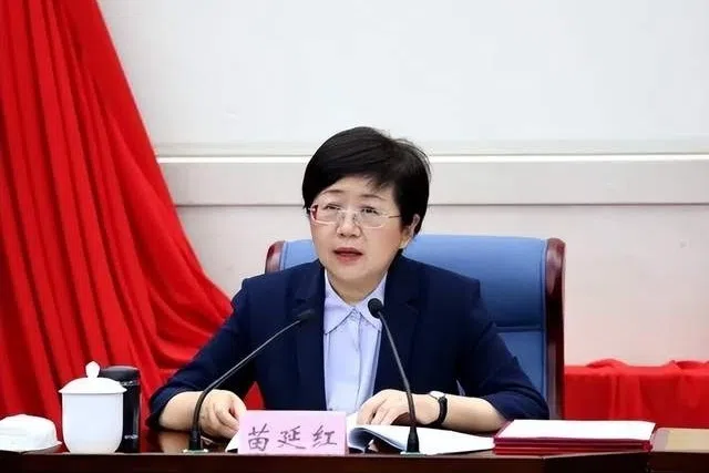 中国官方信息显示，苗延红已卸任福建省委组织部部长，留任省委常委。（海南省委统战部官网）