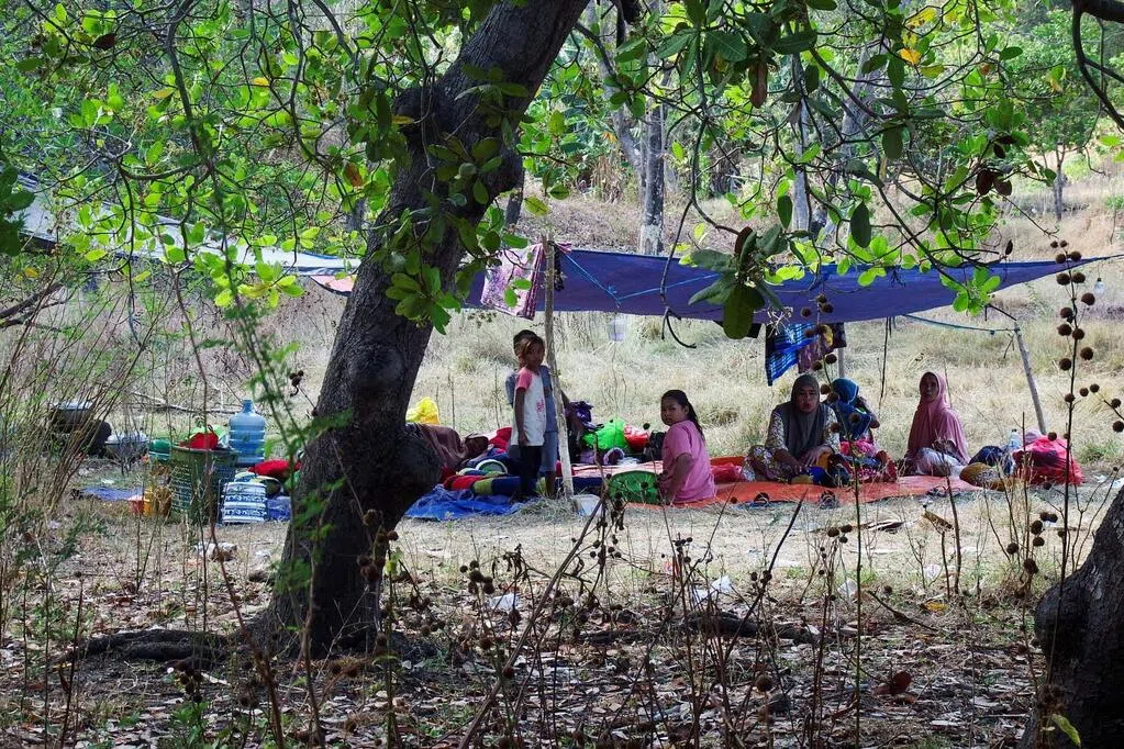 印尼地震数千灾民等待救援 物资陆续送达但进度缓慢