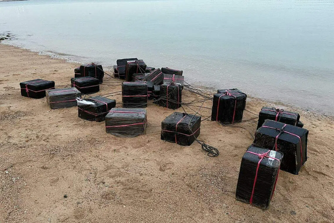 25名男子去年企图通过海路走私漏税香烟进入新加坡，被新加坡关税局识破。（新加坡关税局提供）