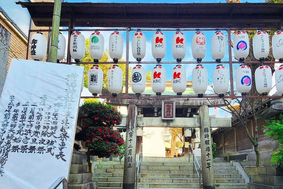 栉田神社是福冈市历史最悠久的神社，周围环境优美。（蓝天游摄）