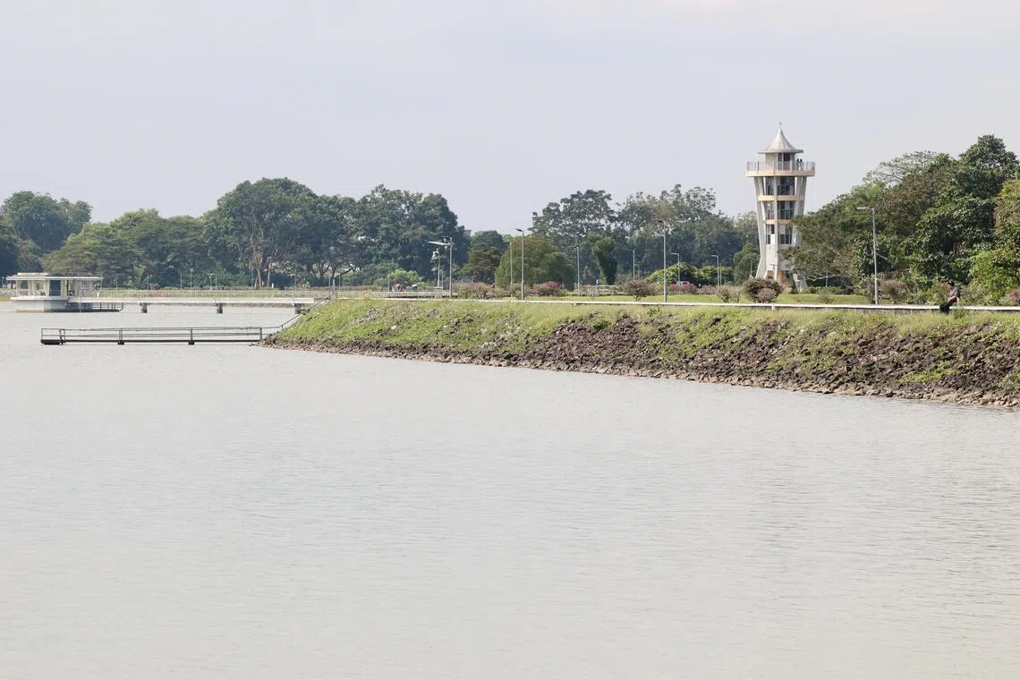 实里达蓄水池上段是本地现有17个蓄水池之一。公用局计划对这个蓄水池开发模型预测水质变化，预计最迟2028年启用。（邬福梁摄）