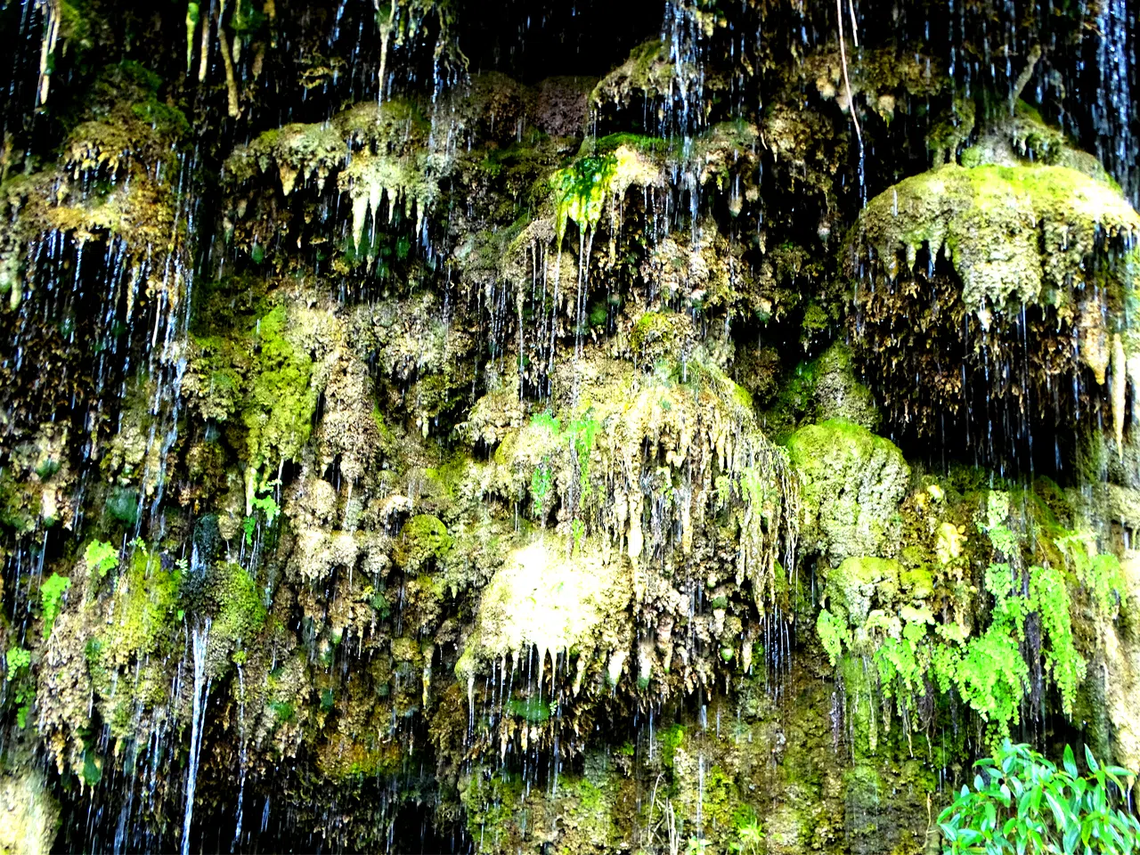 万年钟乳石形成的“水波石”奇景。（许月英摄）