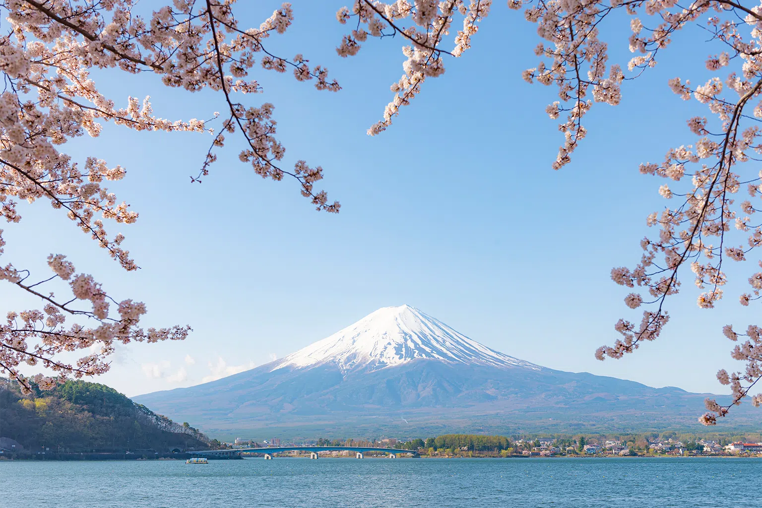 富士山、樱花与东京街景，展现东京唯美浪漫风情。（Getty Images）
