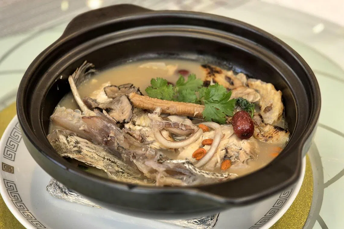 天麻白芷炖鲟龙头尾汤滋补鲜美，还可以尝到酥脆的软骨。（陈爱薇摄）