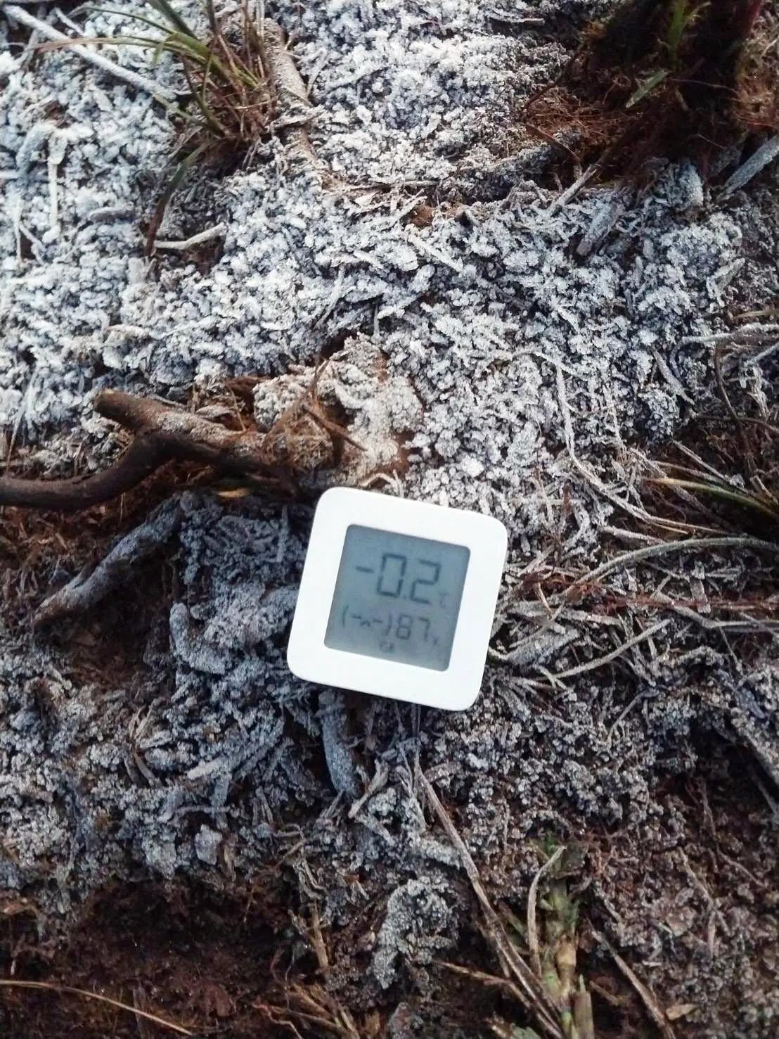 清迈府帕翁波山国家公园星期二出现低温天气，山上植被冻得结霜，温度计显示当时气温为零下0.2摄氏度。（取自帕翁波山国家公园脸书）