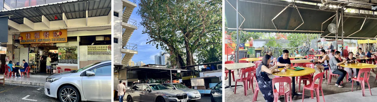 佳福印度煎饼旁边就是水道和大树。（陈映蓁摄）