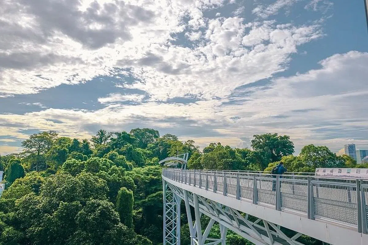在西乐索炮台天空步道登高望远，周围美景尽收眼底。 