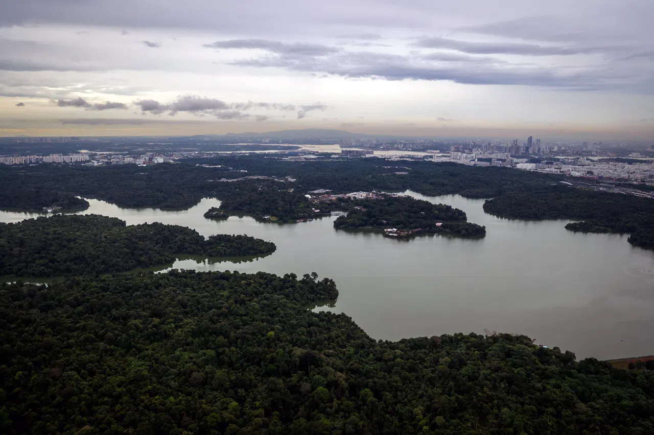 我国目前为自然保护区、自然公园等绿地预留7800公顷，占国土总面积约10％。当局计划在未来10至15年，把绿色空间再扩大1000公顷。（叶振忠摄）