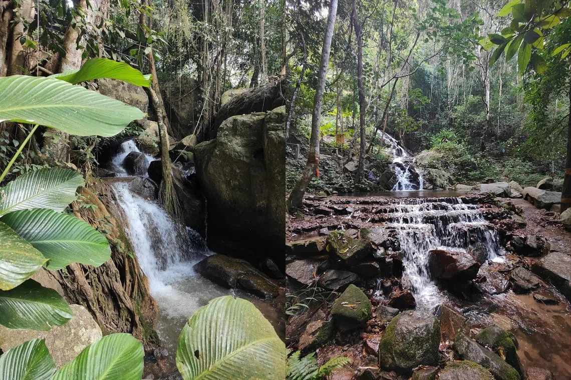 山涧有溪有瀑布，适合静心欣赏。（陈默汎摄）