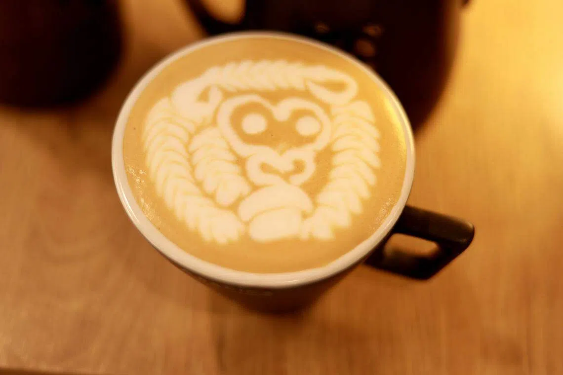 陈佳敏的猩猩图案咖啡拉花。（龙国雄摄）