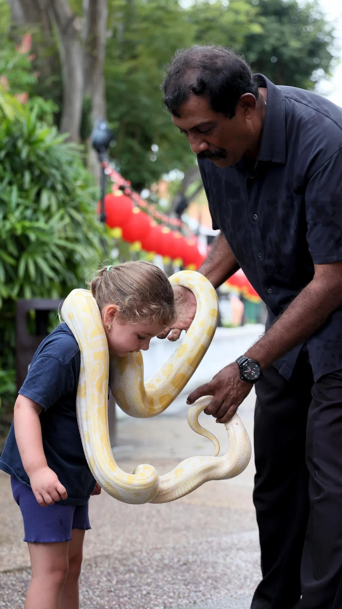 尤索夫说，作为驯蛇人，对游客安全负责和耐心是最重要的品质。（龙国雄摄）