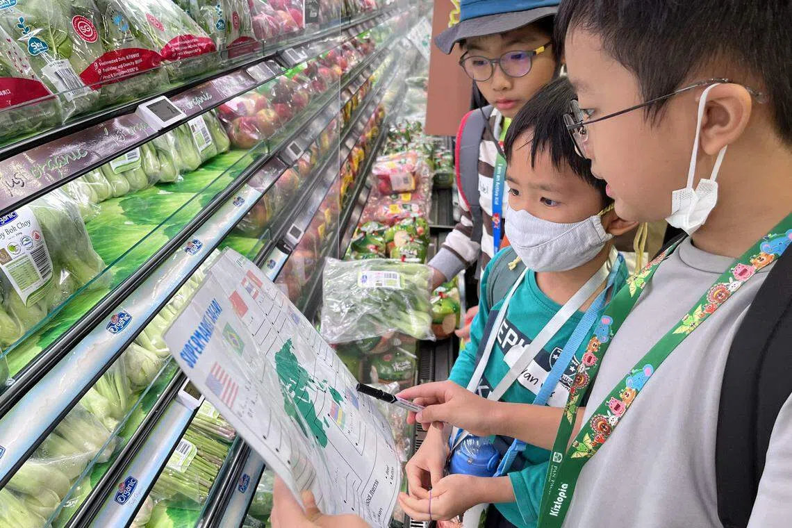 职总优儿学府的Outdoor School Singapore，去年推出为期三天的Marketplace Marvels活动项目，带孩童参观超市，认识本地进口食物的来源地，以及可能会影响食物供应的多种因素。（职总优儿学府提供）