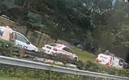 事发路段之后来了至少三辆警车、三辆警方电单车和拖车。（Telegram群组视频截图）