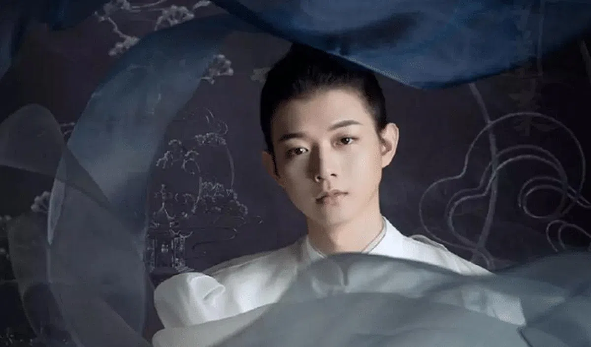 霍尊的“国风美少年”形象。（互联网）