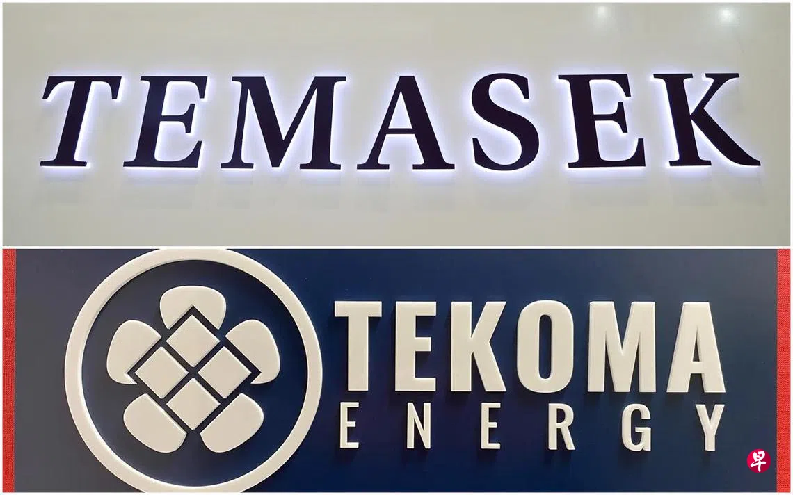 淡马锡信托基金向日本太阳能公司投资6500万元| 联合早报